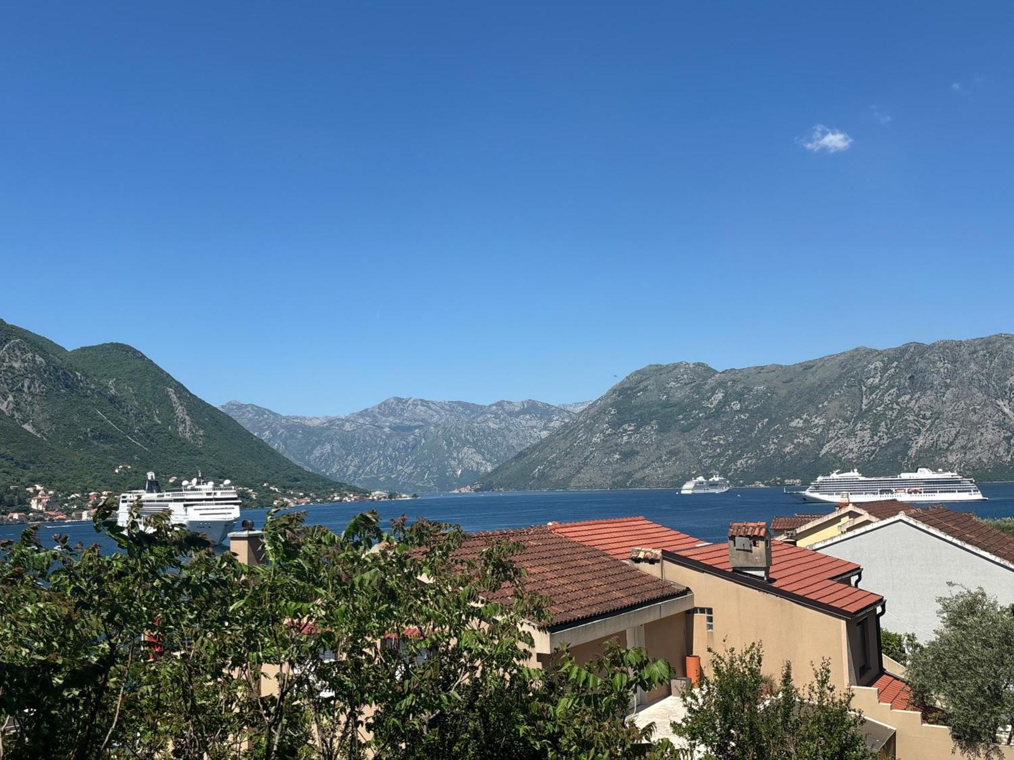 Modern Seaside Apartment With Balcony Tale Apartment Kotor Eksteriør bilde